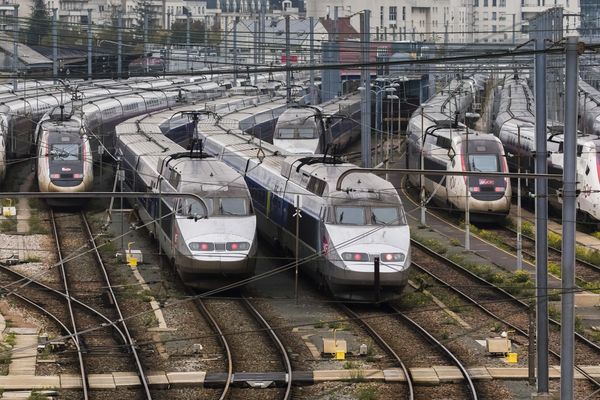 Trains à l'arrêt en gare