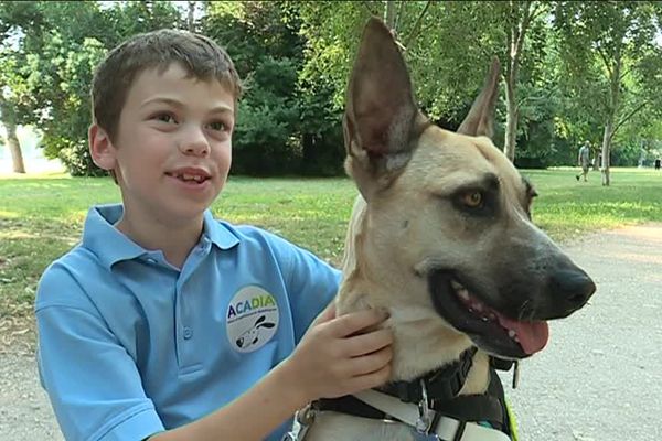 Romain et Stella, un malinois croisé berger dressé pour détecter avant tout le monde une éventuelle hypoglycémie.