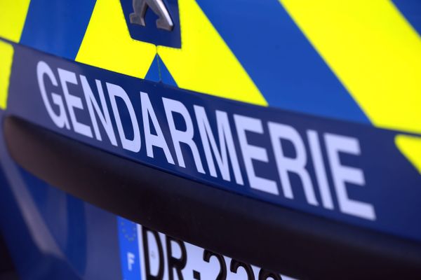 Les gendarmes mènent des recherches dans le secteur d'Ingrannes, en forêt d'Orléans. Photo d'illustration