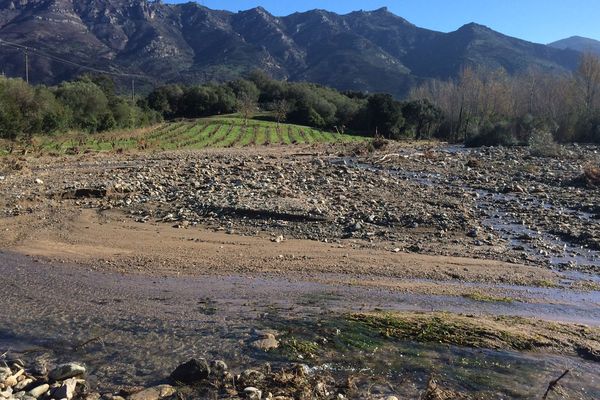 Les inondations du 24 novembre 2016 ont provoqué d'importants dégâts dans les vignobles de Haute-Corse. 