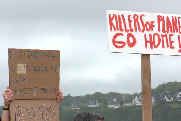 Des manifestants pour accueillir un paquebot de croisière