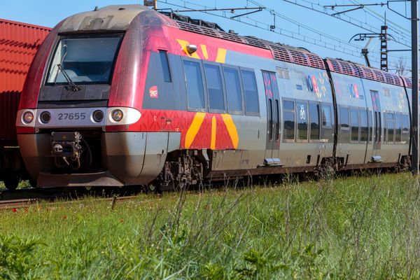 Des trains sont supprimés ou à l'arrêt entre Montauban et Agen en raison d'une panne de signalisation, ce mercredi 10 juillet 2024.