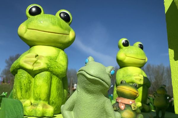 Imposantes et hiératiques, les grenouilles de Marion, d'un joli vert-pomme, invitent à la réflexion