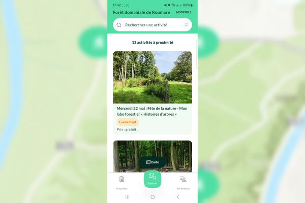 L'ONF a lancé l'application "Forêt en poche" pour proposer une exploration forestière à portée de main.