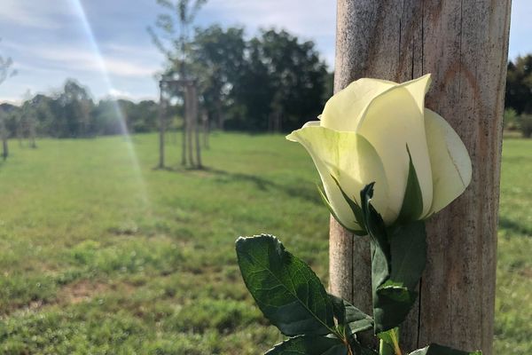 55 arbres ont été plantés dans la forêt sanctuaire de Schiltigheim.