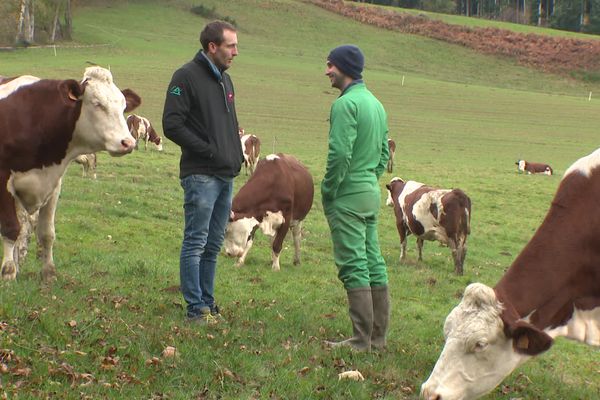 Le GAEC de Raphaël et Etienne produit du lait pour la fourme de Montbrison.