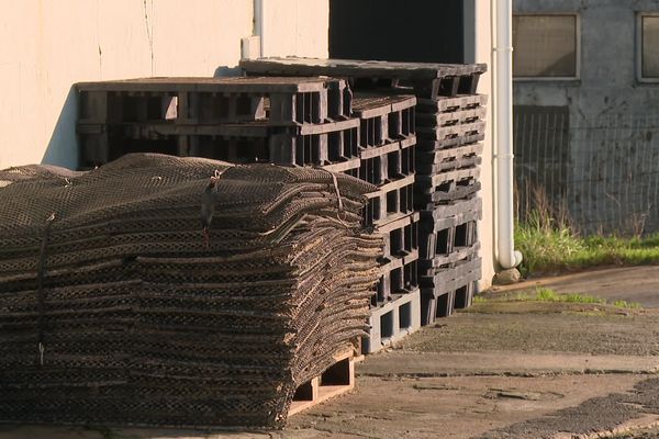 Des entreprises à l'arrêt et des pertes financières conséquentes, la contamination au norovirus pénalise toute une filière qui a décidé de porter plainte.