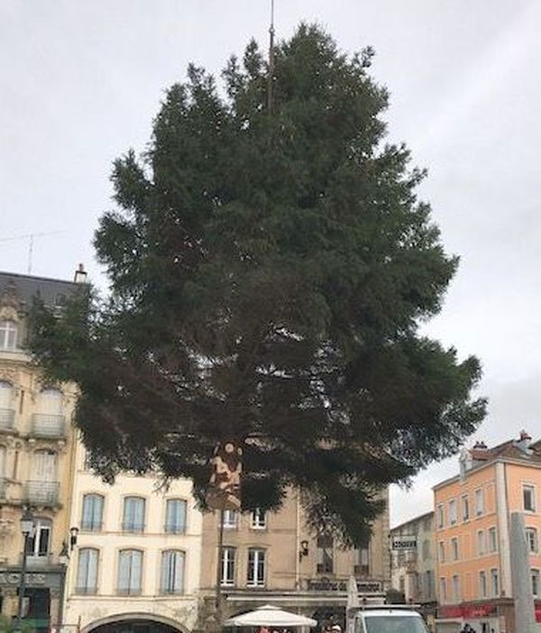 Epinal Le Sapin De Noel Installe Sur La Place Des Vosges