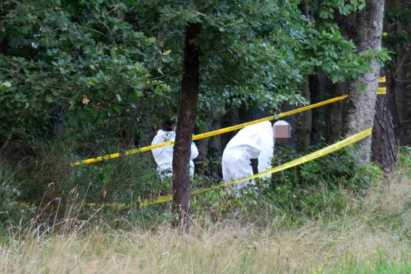 La gendarmerie scientifique recherhce des indices dans la forêt sur le ban communal de Kintzheim.