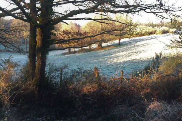 Un matin d'hiver sur la campagne monterfiloise