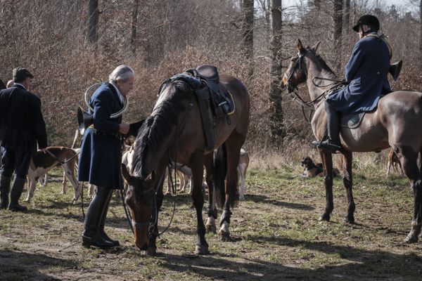 Chasse à courre en forêt de Compiègne