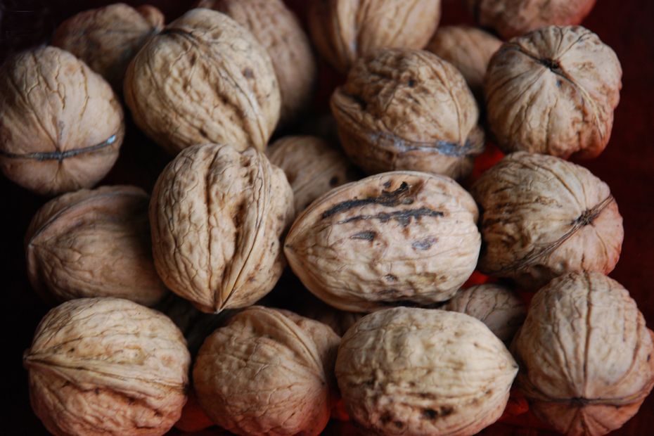 HEALTH and FOOD.  Nuts, an essential nutritional commodity in the fall