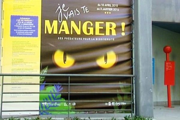 L'exposition  "je vais te manger!"est ouverte tous les jours de la semaine de 9 heures à 12 heures 30 et de 14 heures à 18 heures. Samedi et dimanche de 14 heures à 18 heures. A voir au Jardin des Sciences - Parc de L'Arquebuse - 1, avenue Albert 1er & 14, rue Jehan de Marville - 21000 Dijon 