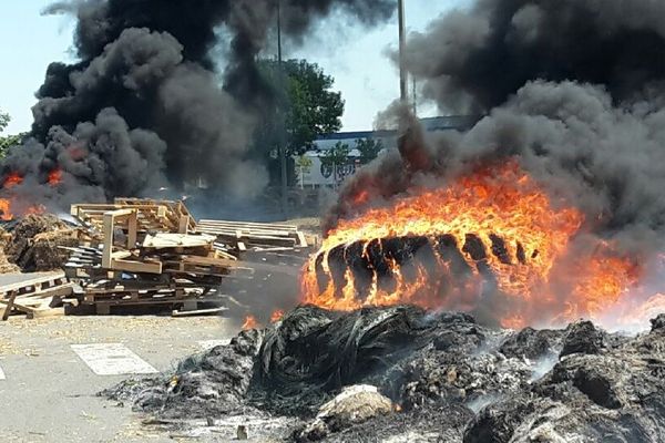 Une cinquantaine d'agriculteurs bloque les entrepôts de la Scachap depuis hier soir.