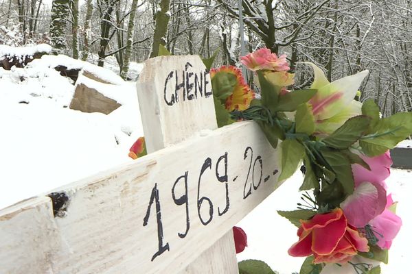 Des militants mobilisés contre une coupe rase à Tarnac en Corrèze - 22/01/23 -