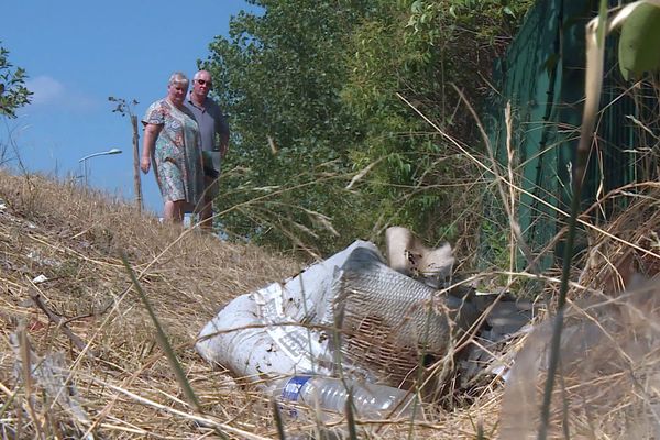 Perpignan - colère des résidents d'un lotissement "haut de gamme", ils demandent aux promoteurs d'entretenir les lieux laissés à l'abandon - 2 août 2024.