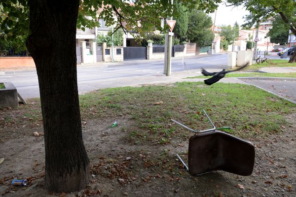 Le 31 octobre 2022, un "charbonneur" était abattu sur un point de deal à Avignon.