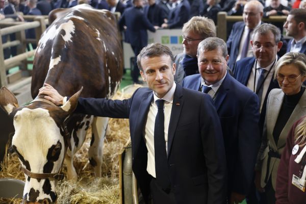 Emmanuel Macron à l'ouverture du Salon de l'Agriculture, ce 24 février.