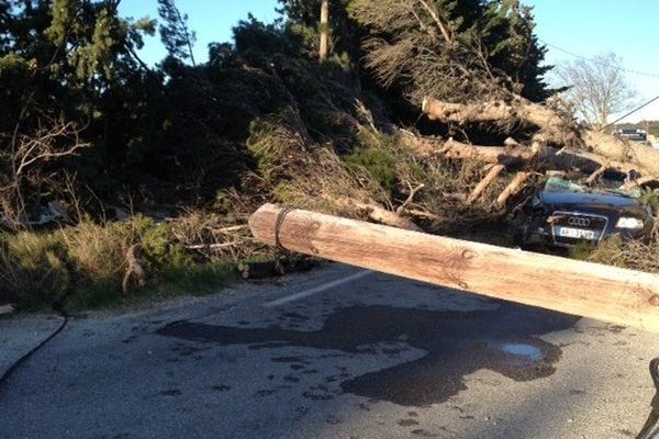 Un arbre est tombé sur la voiture d'un pompier à Saint-Hilaire-d'Ozilhan dans le Gard. Il souffre d'un traumatisme crânien - 9 février 2015