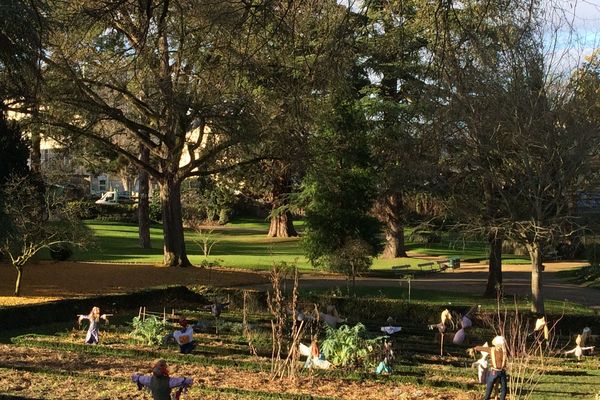 Le Jardin des Plantes à Poitiers 