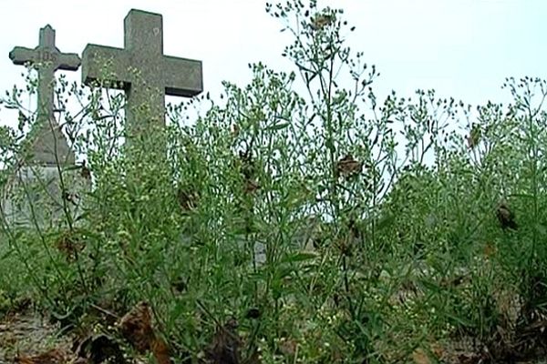 Un des cimetières de Cherbourg-Octeville