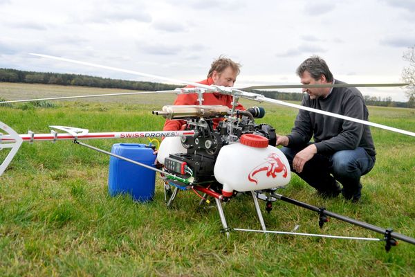 En Suisse, les agriculteurs utilisent des drones pour combattre la prolifération des chenilles processionnaires