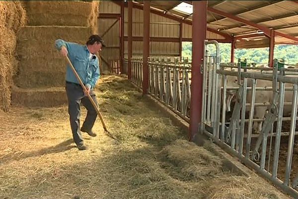 Alain Crozier nourrit ses vaches avec du foin