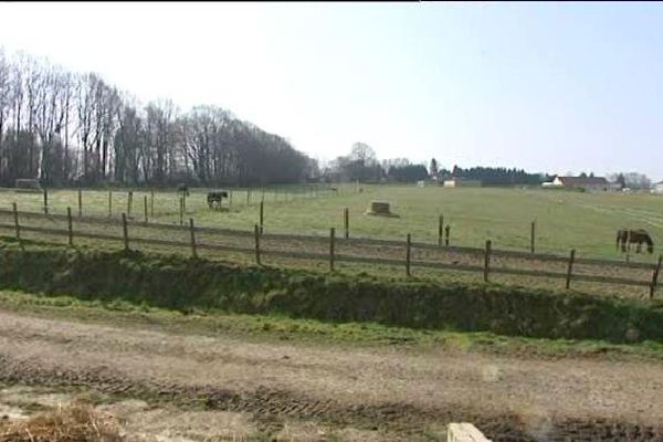 Depuis, les haras de Dun-le-Palestel ont été vendus à une professionnelle originaire du Lot.