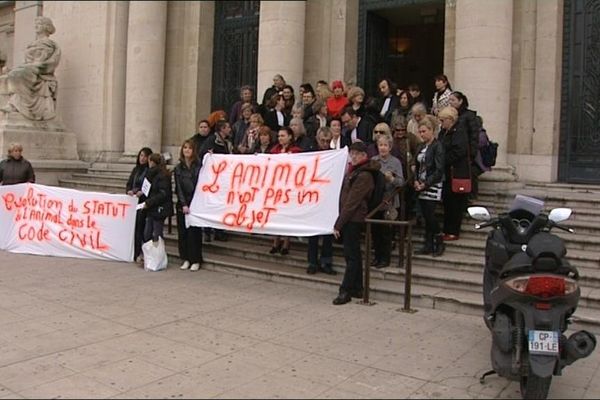 Devant le tribunal correctionnel de Toulon, les défenseurs des animaux