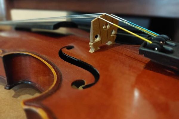 Violon, atelier de Patrice Taconné