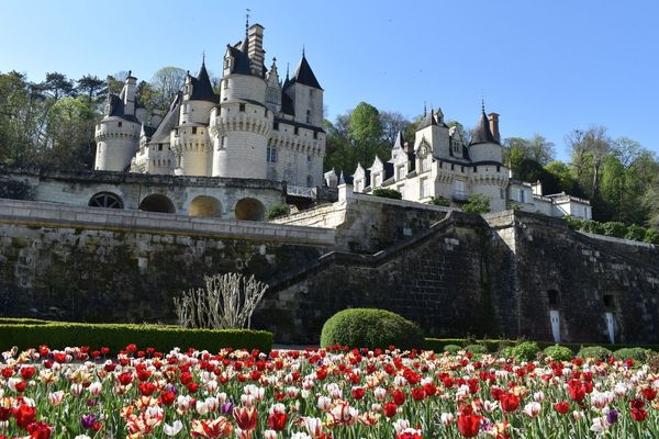 Le château d'Ussé, dit de la Belle au Bois dormant à Rigny-Ussé en Indre-et-Loire au printemps.