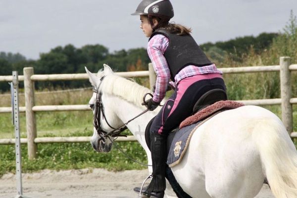 Fermés au public depuis le 15 mars, poney-clubs et centres équestres se retrouvent privés de recettes mais doivent assumer l'entretien de leurs chevaux.