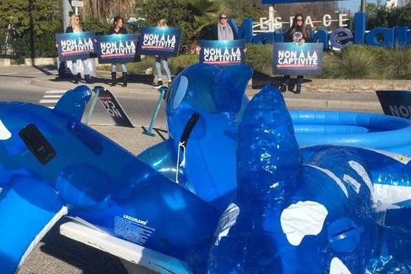 Mobilisation devant l'entrée principale de Marineland ce dimanche 5 janvier