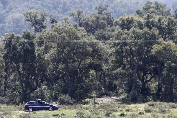 Le Cannet-des-Maures : patrouilles de gendarmes au Pic-Martin ce jeudi.