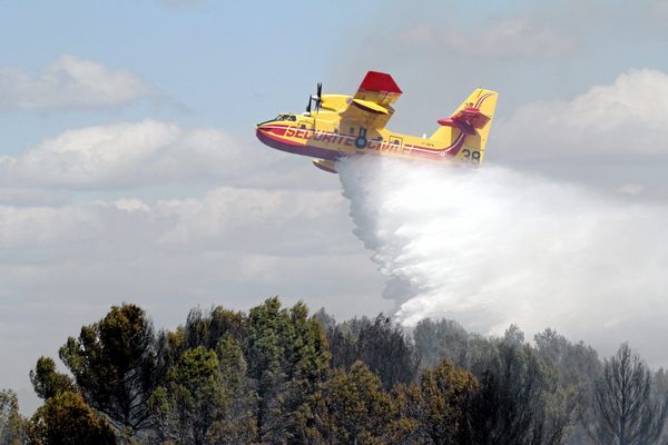 Chaque été, les incendies ravagent des hectares de forêt dans la région.