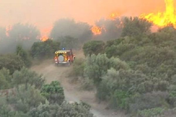 Les hommes du feu ont tenté de protéger des lignes à haute tension menacées par les flammes. Millas le 17 septembre 2014.