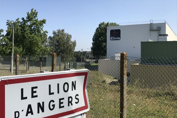 Un second foyer de covid-19 détecté à l'abattoir Elivia au Lion d'Angers