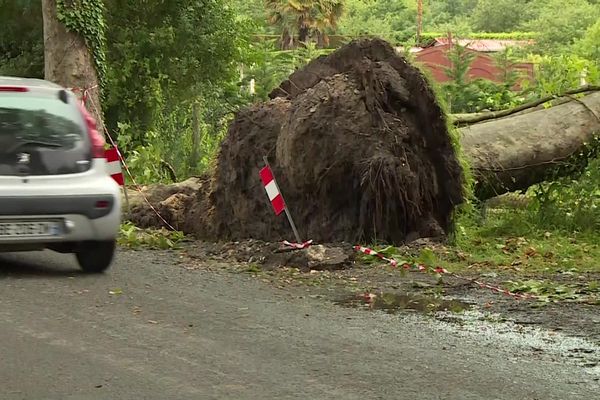 Lisle en Dordogne a été le lieu d'une tornade impressionante et dévastatrice