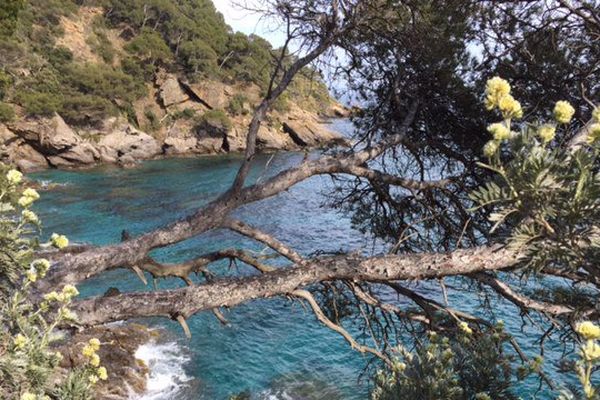 Le kayakiste était parti randonner en mer ce jeudi au départ d'une plage proche de Cavalaire. Photo d'archives