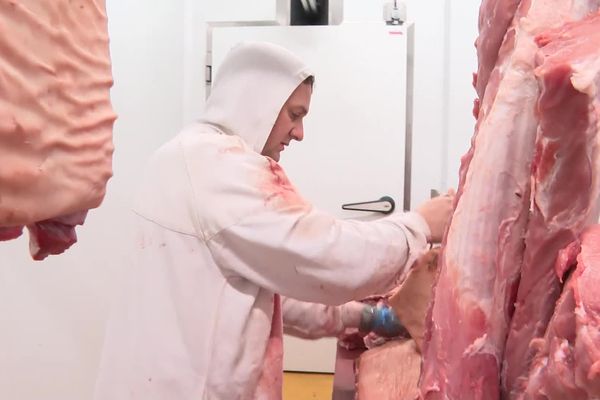 La boucherie Fischer Kientz et Fils située à Erstein est touchée de plein fouet par la crise énergétique.