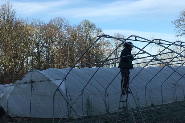 Alexandre Ribette, maraîcher à Champagnac-la-Rivière, installe la serre financée grâce à une Cigales