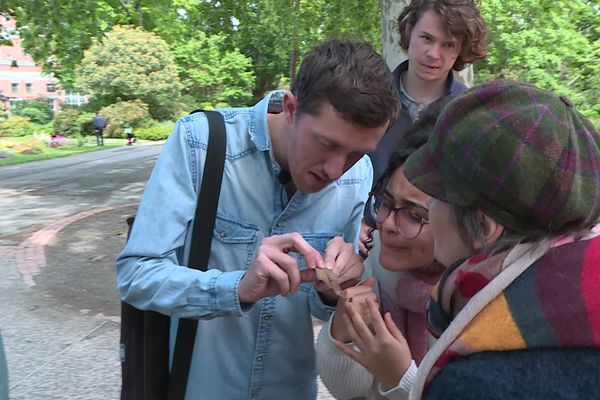 Camille Poireau (à gauche) identifie une petite bête avec des volontaires.