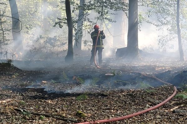 Les pompiers de L'Eure sont appelés plusieurs fois par jour pour des départs de feu.