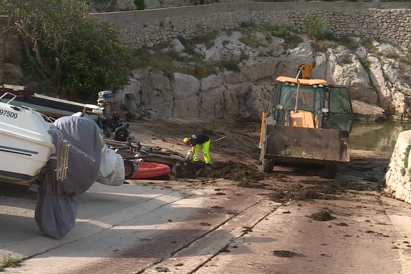 30 mètres cubes d'algues ont été ramassés.