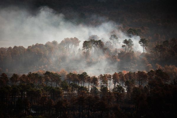 La commune de Landiras en Gironde en proie aux incendies le 29 juillet 2022