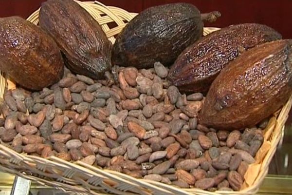 Voici les coupables : les fèves de cacao. Elles sont de plus en plus rares et de plus en plus demandées. Donc de plus en plus chères. En 2013, elles ont augmenté de plus de 20%. Coup de chaud pour le consommateur. Sueurs froides pour le chocolatier.