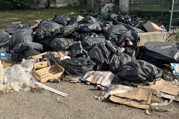 Les déchets alimentaires sont déversés à quelques mètres du pavillon de Christine