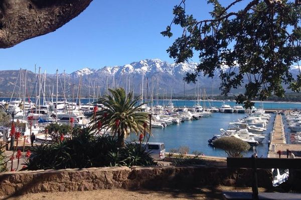 ILLUSTRATION - Calvi, vue du port (Haute-Corse)