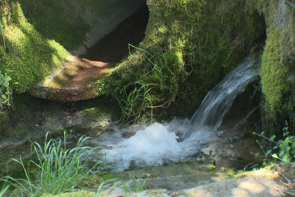 En septembre 2022, l’État et le département du Doubs avaient annoncé leur intention de réduire les pollutions à travers le plan "rivières karstiques"