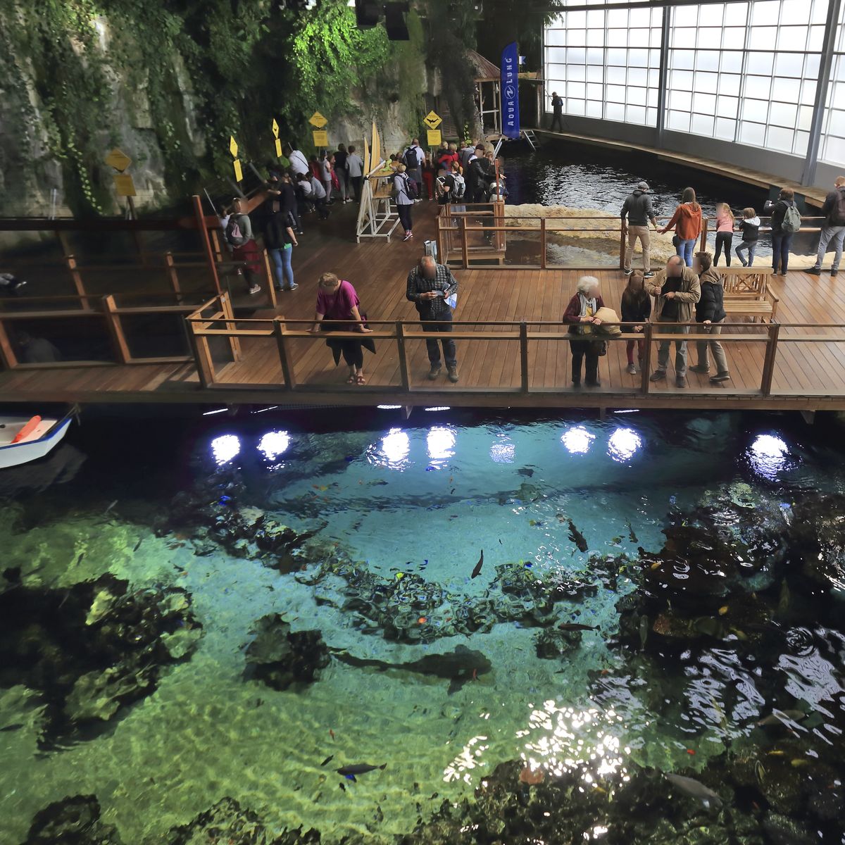 Pas-de-Calais : avec sa nouvelle expérience, Nausicaá veut «réinventer l' aquarium du futur»